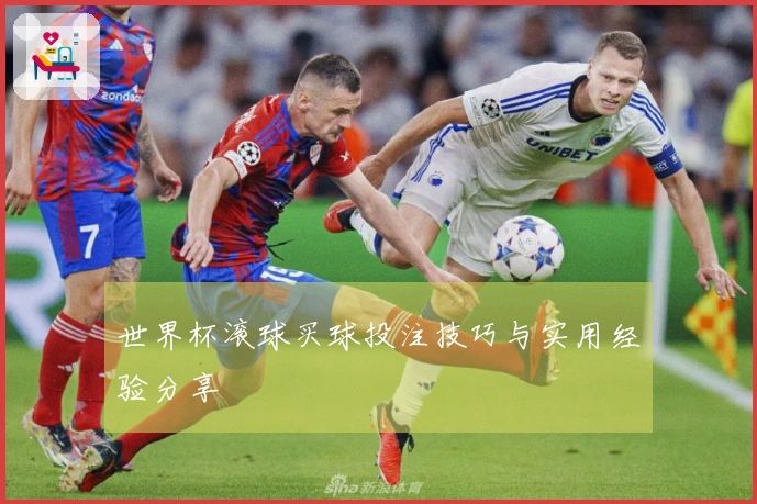 世界杯滚球买球投注技巧与实用经验分享