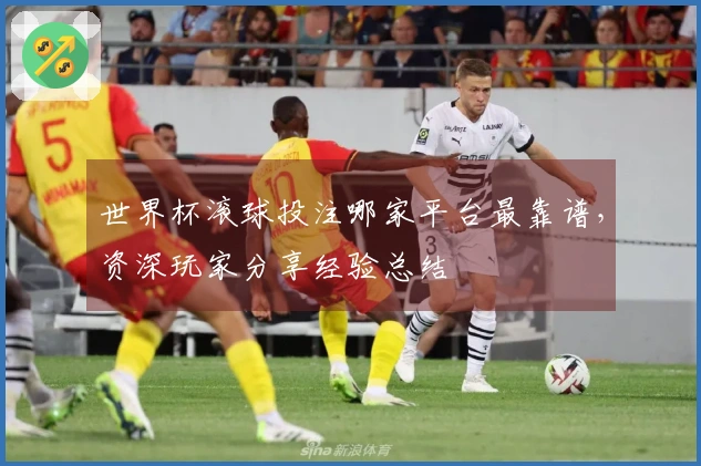 世界杯滚球投注哪家平台最靠谱，资深玩家分享经验总结