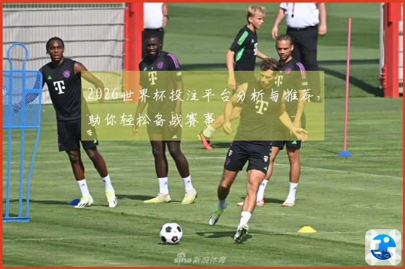 2026世界杯投注平台分析与推荐，助你轻松备战赛事