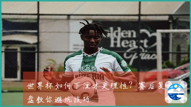 世界杯如何下注才更理性？赛后复盘教你避坑技巧