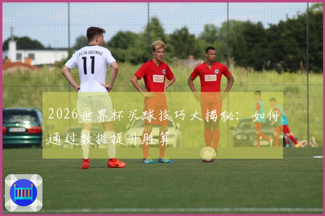 2026世界杯买球技巧大揭秘：如何通过数据提升胜算