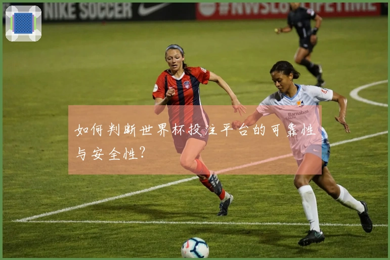 如何判断世界杯投注平台的可靠性与安全性？