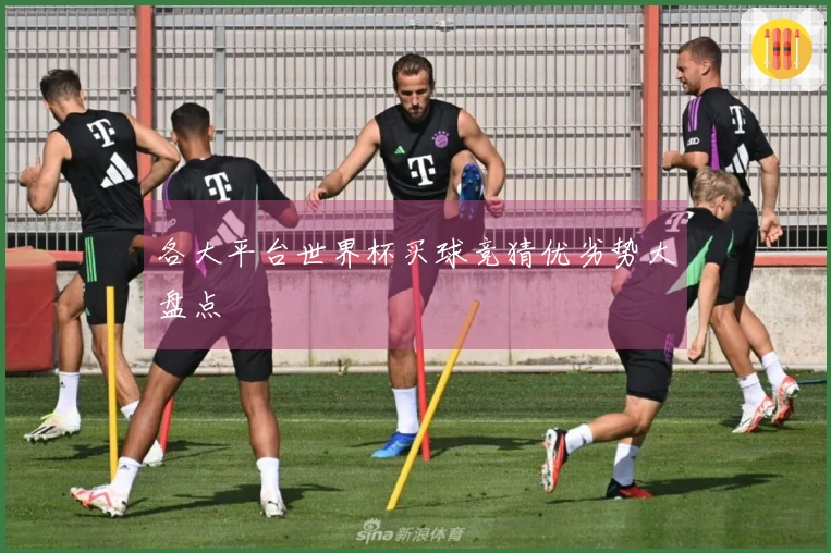 各大平台世界杯买球竞猜优劣势大盘点