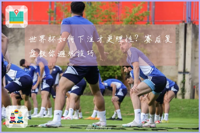 世界杯如何下注才更理性？赛后复盘教你避坑技巧