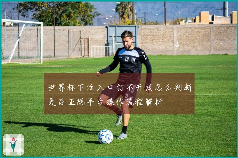 世界杯下注入口打不开该怎么判断是否正规平台操作流程解析