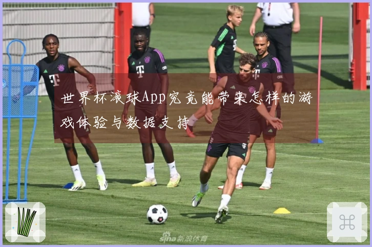 世界杯滚球App究竟能带来怎样的游戏体验与数据支持