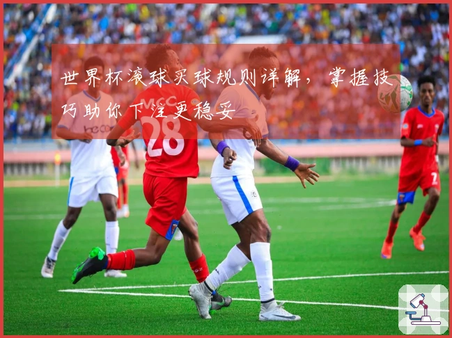 世界杯滚球买球规则详解，掌握技巧助你下注更稳妥