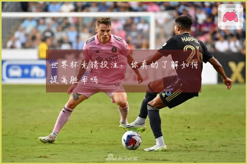 世界杯竞猜投注，你真的了解如何提高胜率吗