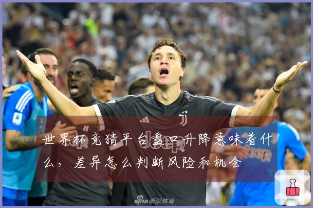 世界杯竞猜平台盘口升降意味着什么，差异怎么判断风险和机会