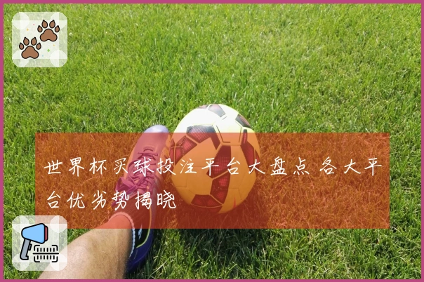 世界杯买球投注平台大盘点 各大平台优劣势揭晓