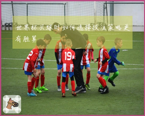 世界杯买球时如何选择投注策略更有胜算