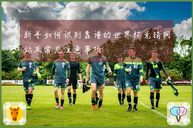 新手如何识别靠谱的世界杯竞猜网站及常见注意事项