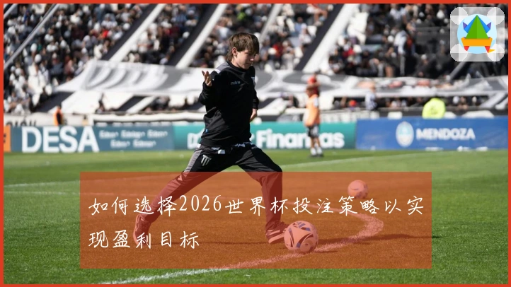 如何选择2026世界杯投注策略以实现盈利目标