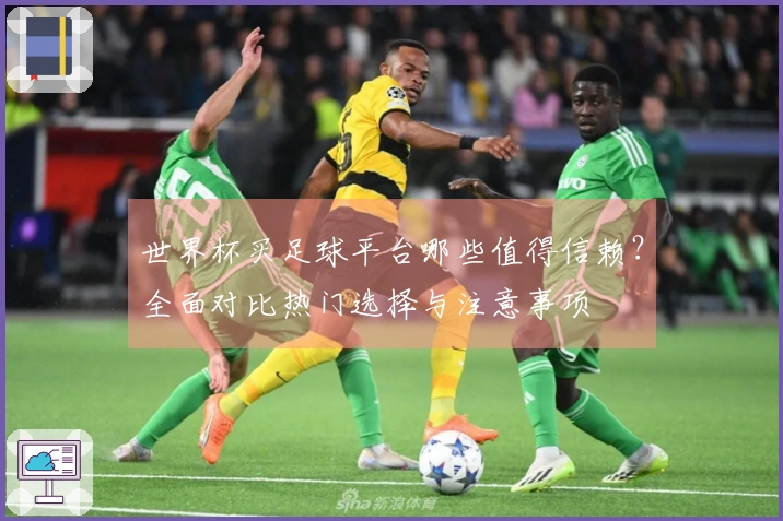 世界杯买足球平台哪些值得信赖？全面对比热门选择与注意事项
