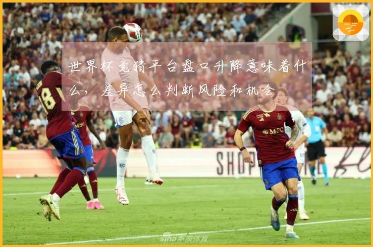 世界杯竞猜平台盘口升降意味着什么，差异怎么判断风险和机会