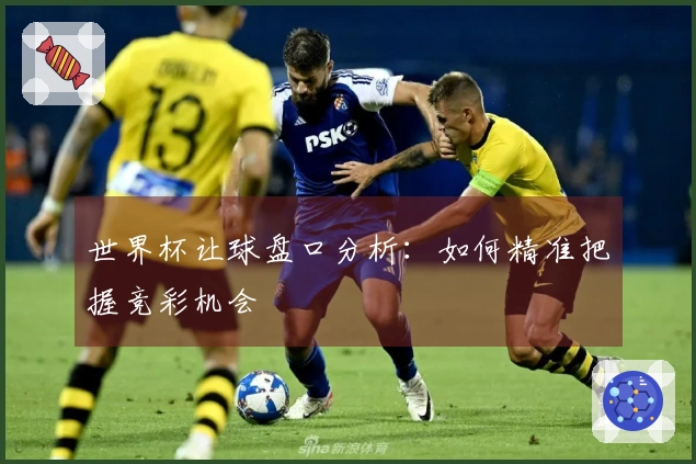 世界杯让球盘口分析：如何精准把握竞彩机会
