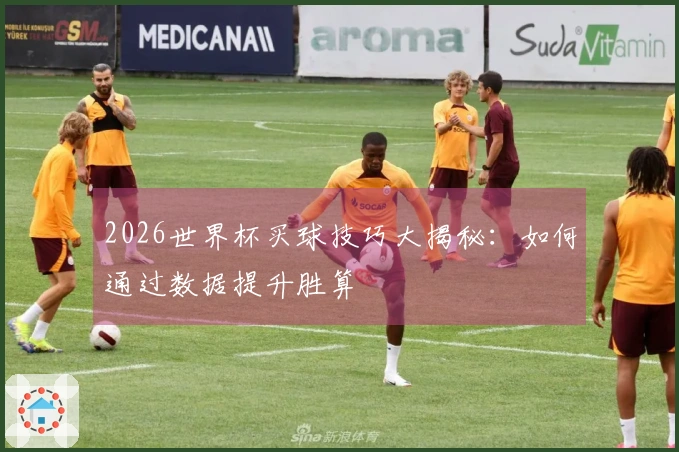 2026世界杯买球技巧大揭秘：如何通过数据提升胜算