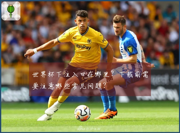 世界杯下注入口在哪里？下载前需要注意哪些常见问题？