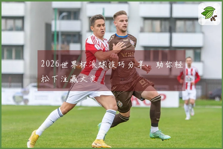 2026世界杯滚球技巧分享，助你轻松下注赢大奖
