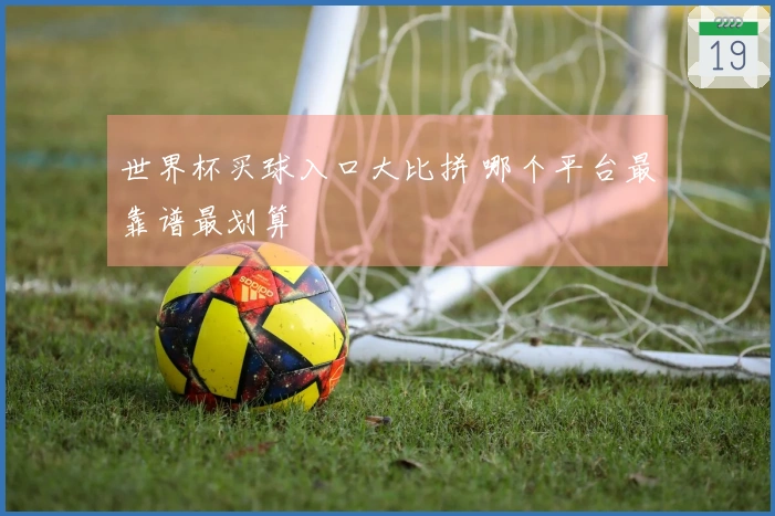 世界杯买球入口大比拼 哪个平台最靠谱最划算