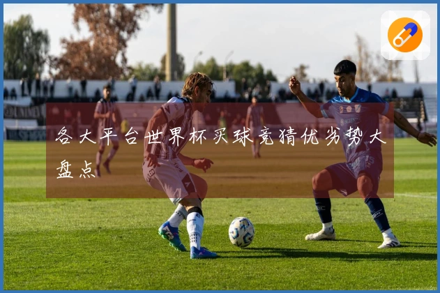 各大平台世界杯买球竞猜优劣势大盘点